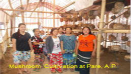 Mushroom Cultivation at Pare.A.P