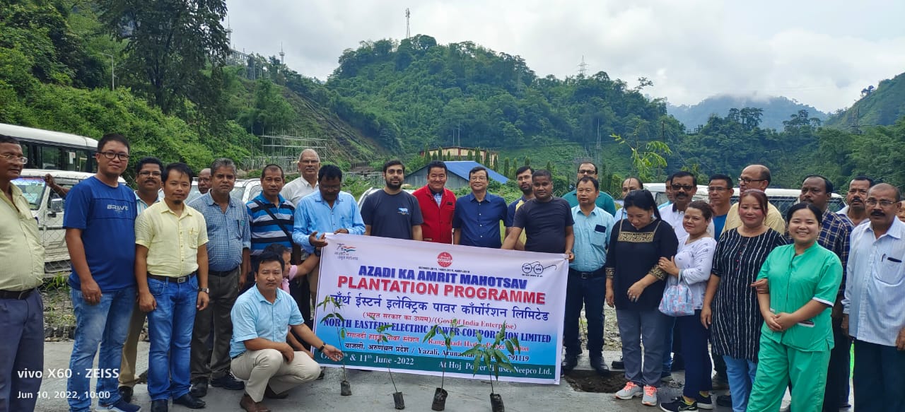  RHPS PLANTATION PHOTOS