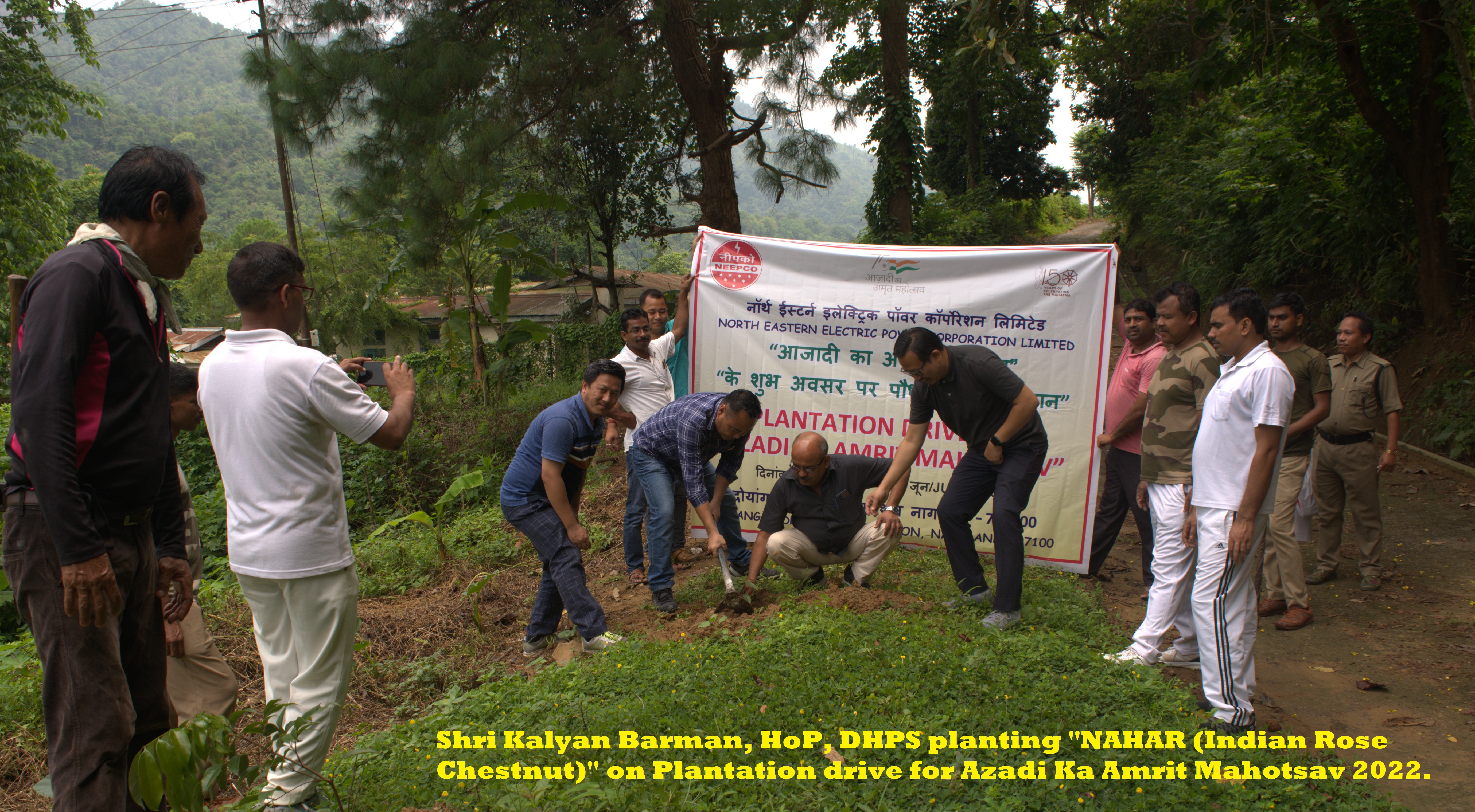  DHPS PLANTATION PHOTOS