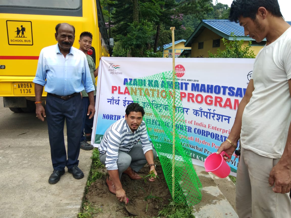  RHPS PLANTATION PHOTOS