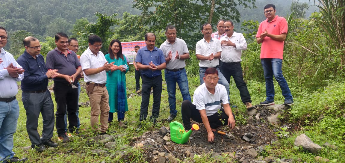  KaHPS PLANTATION PHOTOS