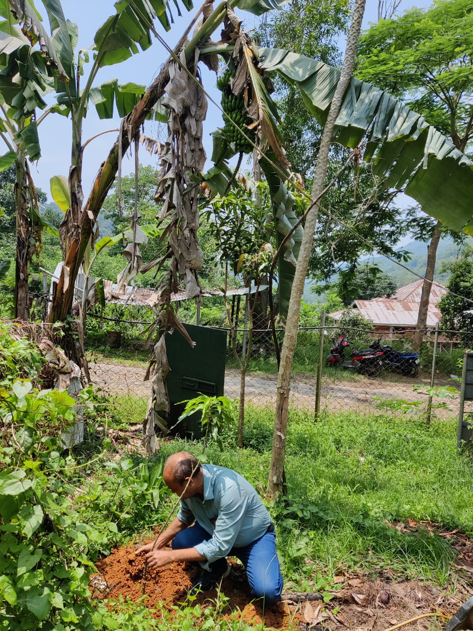  DHPS PLANTATION PHOTOS