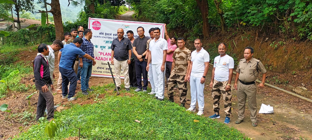  DHPS PLANTATION PHOTOS