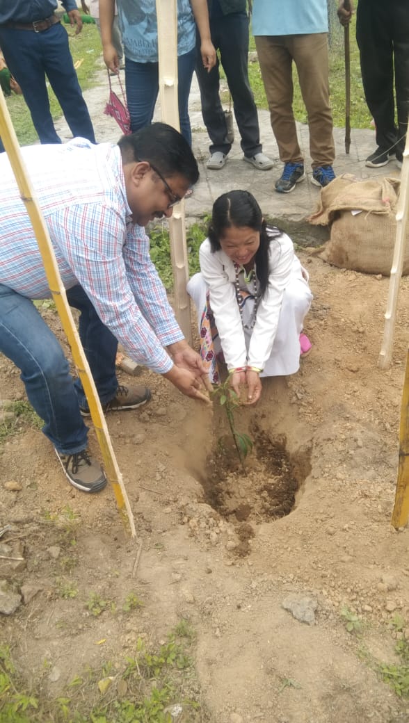  KaHPS PLANTATION PHOTOS