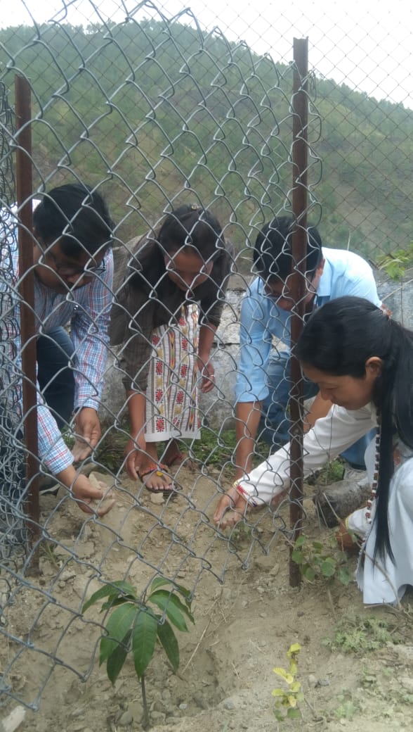  KaHPS PLANTATION PHOTOS