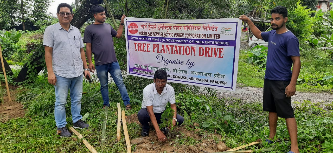  PHPS PLANTATION PHOTOS