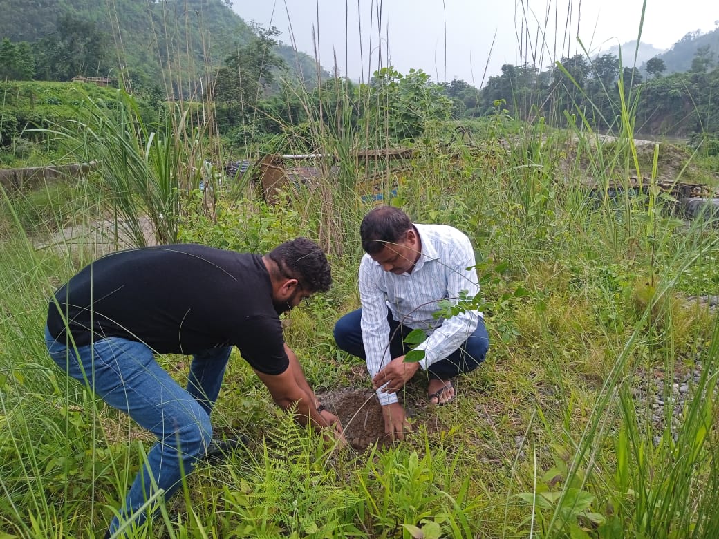  PHPS PLANTATION PHOTOS