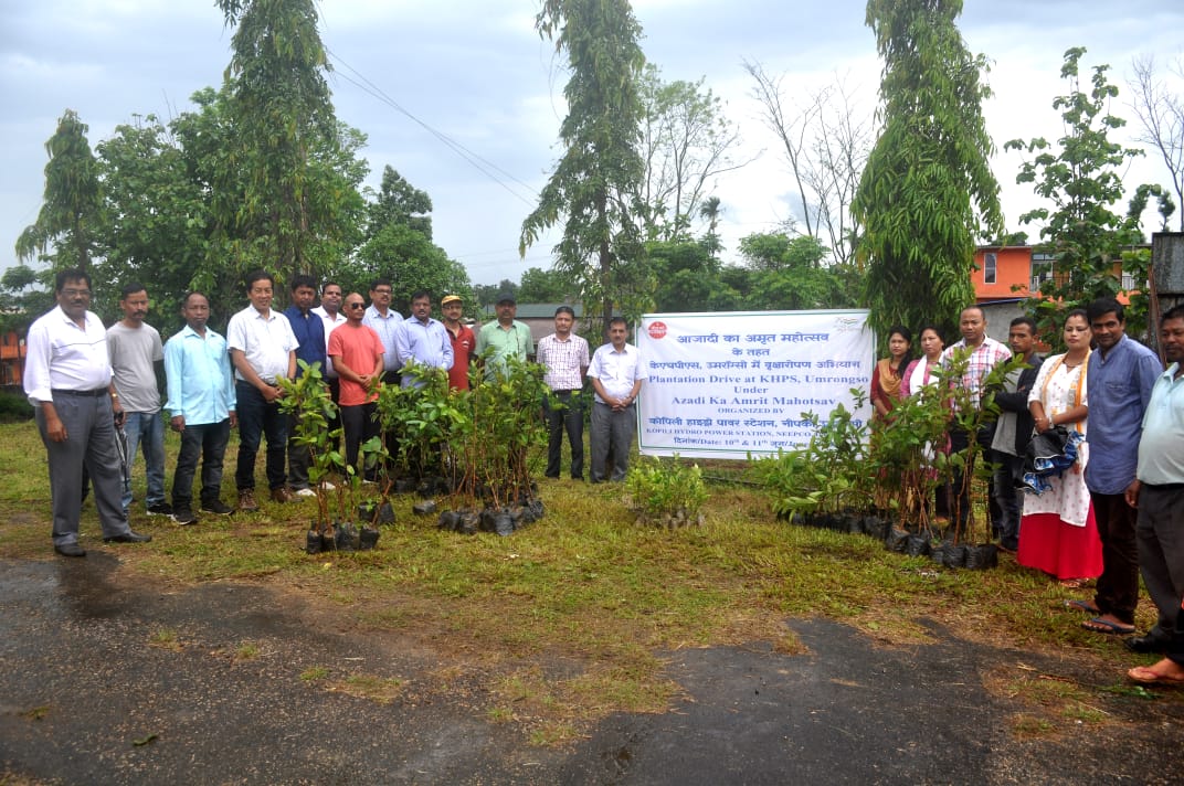  KHPS PLANTATION PHOTOS