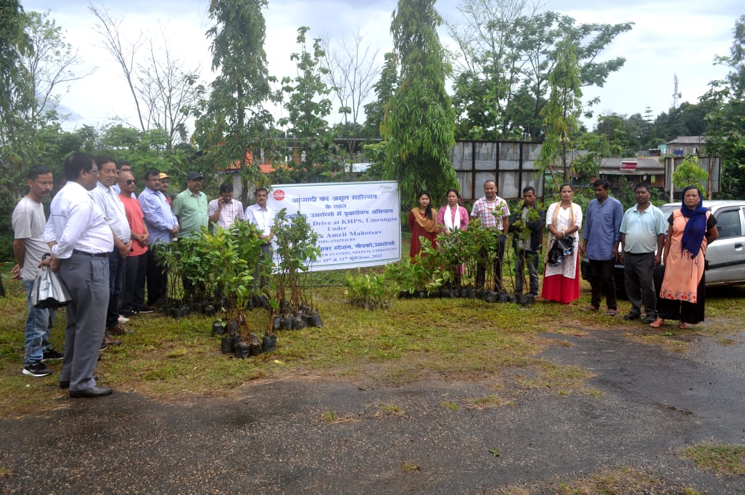  KHPS PLANTATION PHOTOS