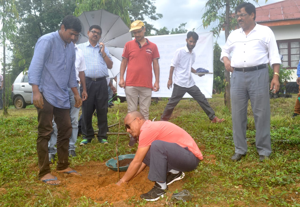  KHPS PLANTATION PHOTOS