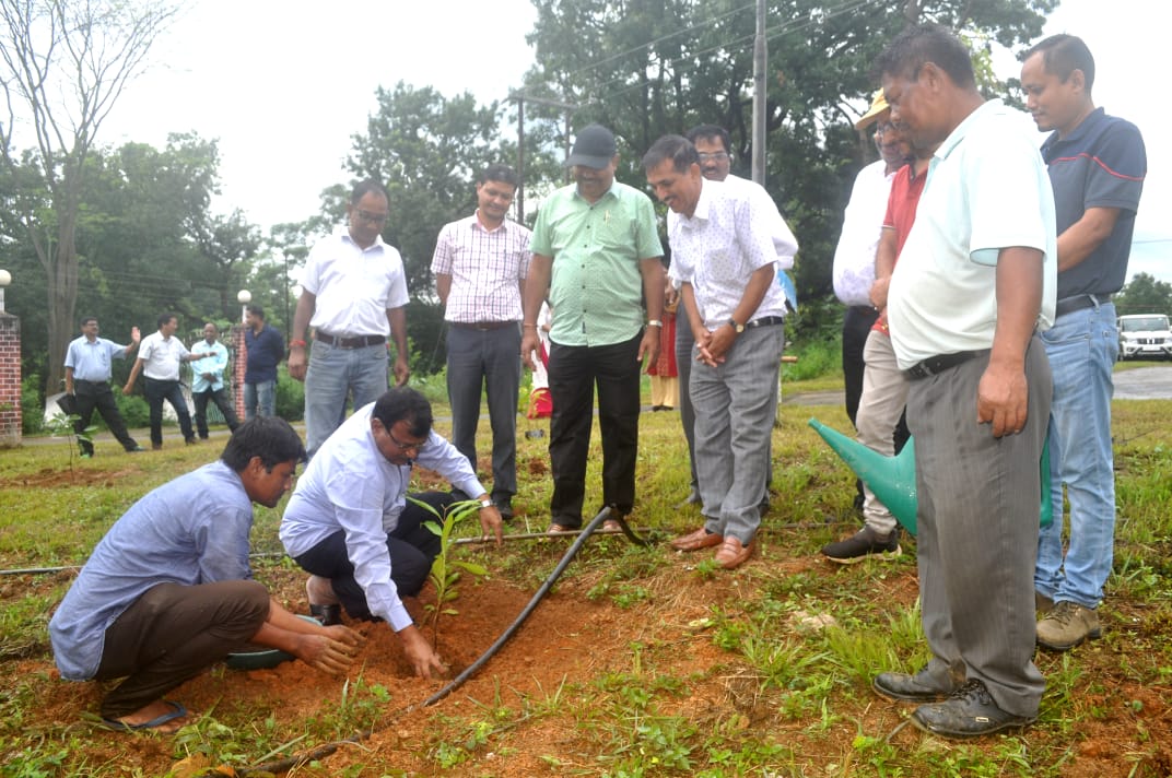  KHPS PLANTATION PHOTOS