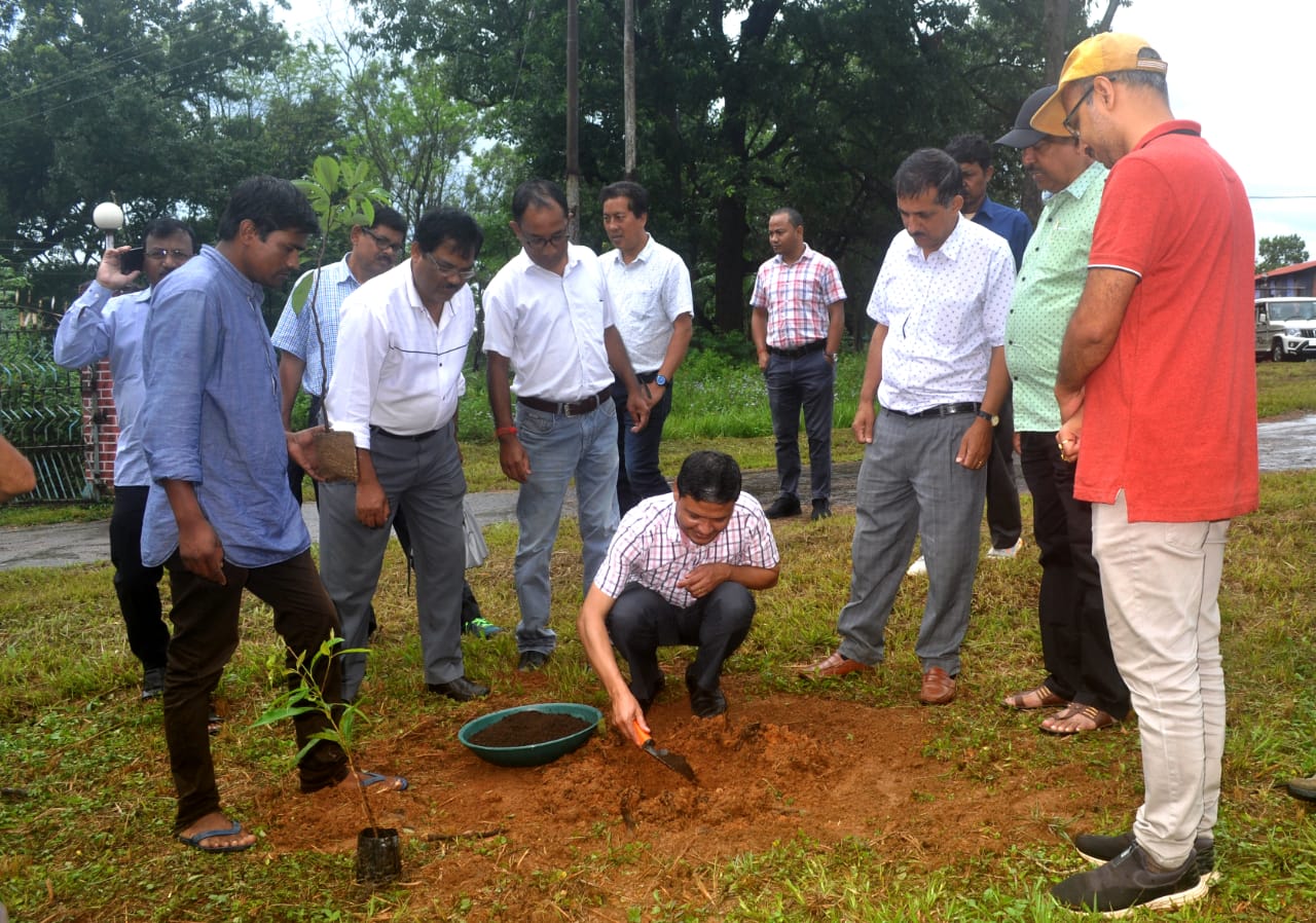  KHPS PLANTATION PHOTOS