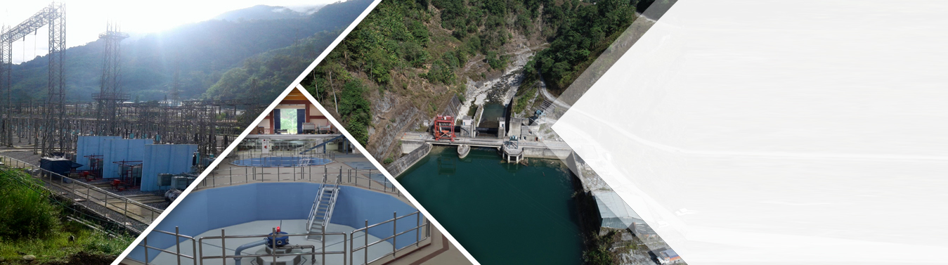 NEEPCO provides electricity to about 3 houses out of 10 in the North East Region