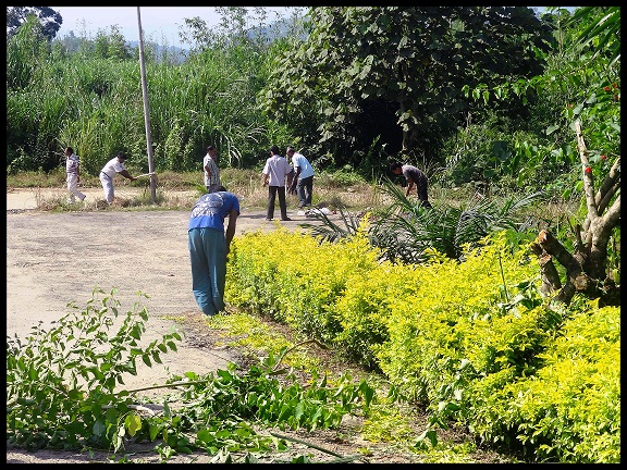 Cleanliness drive being organised at Tuirial Hydro Power Station, NEEPCO on the occassion of Swachh Bharat Abhiyan.