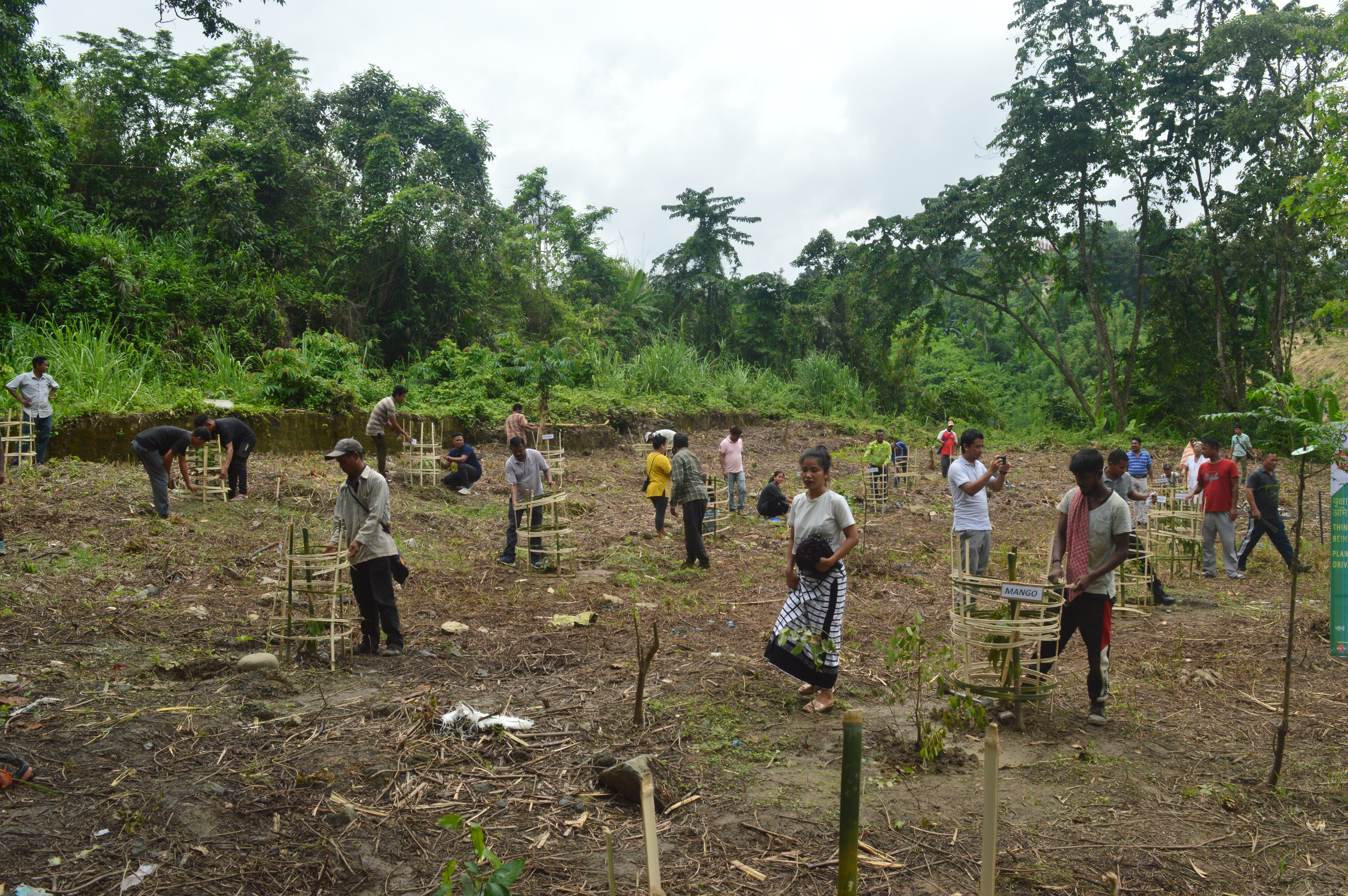  THPS PLANTATION PHOTOS