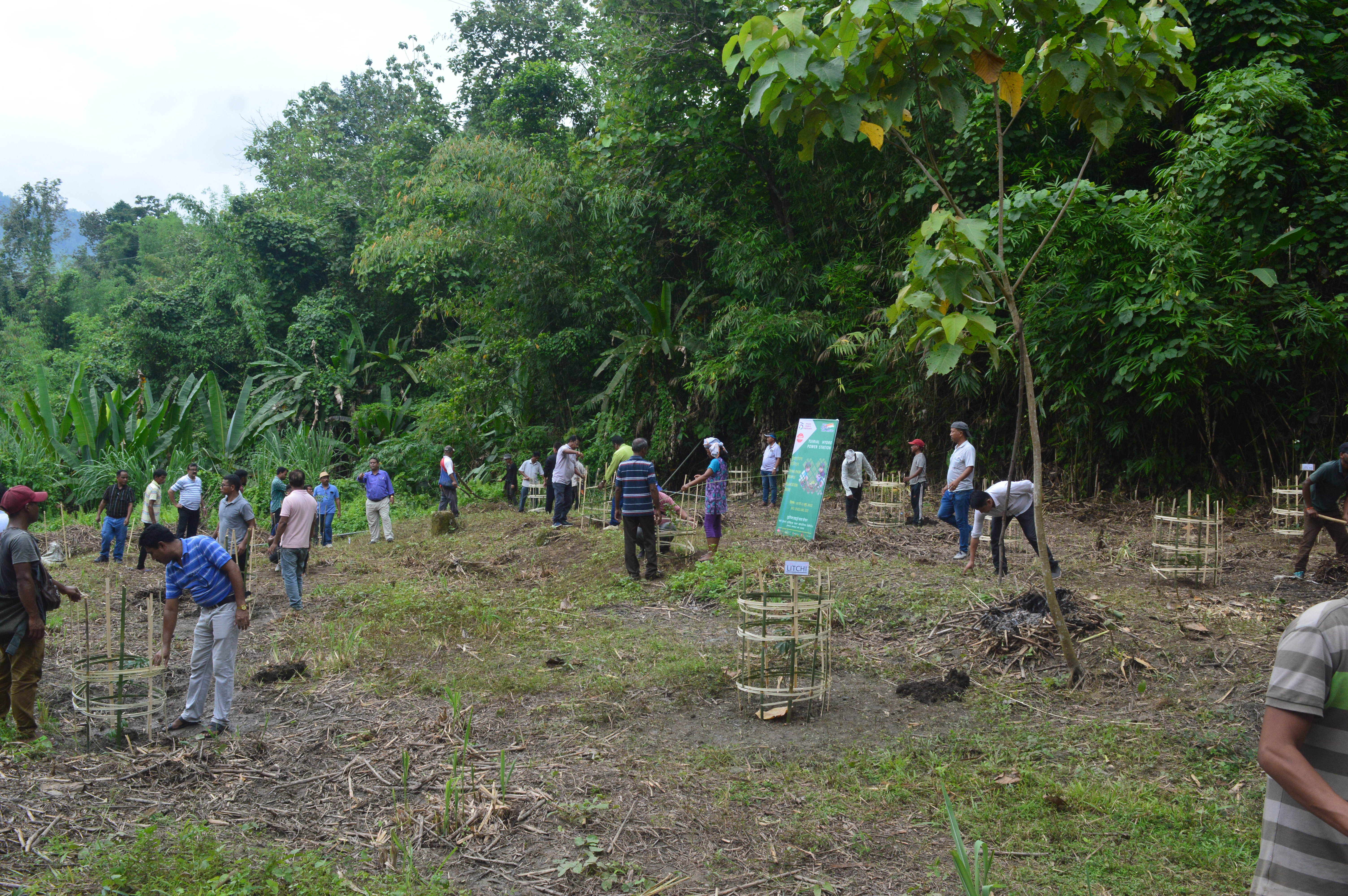  THPS PLANTATION PHOTOS