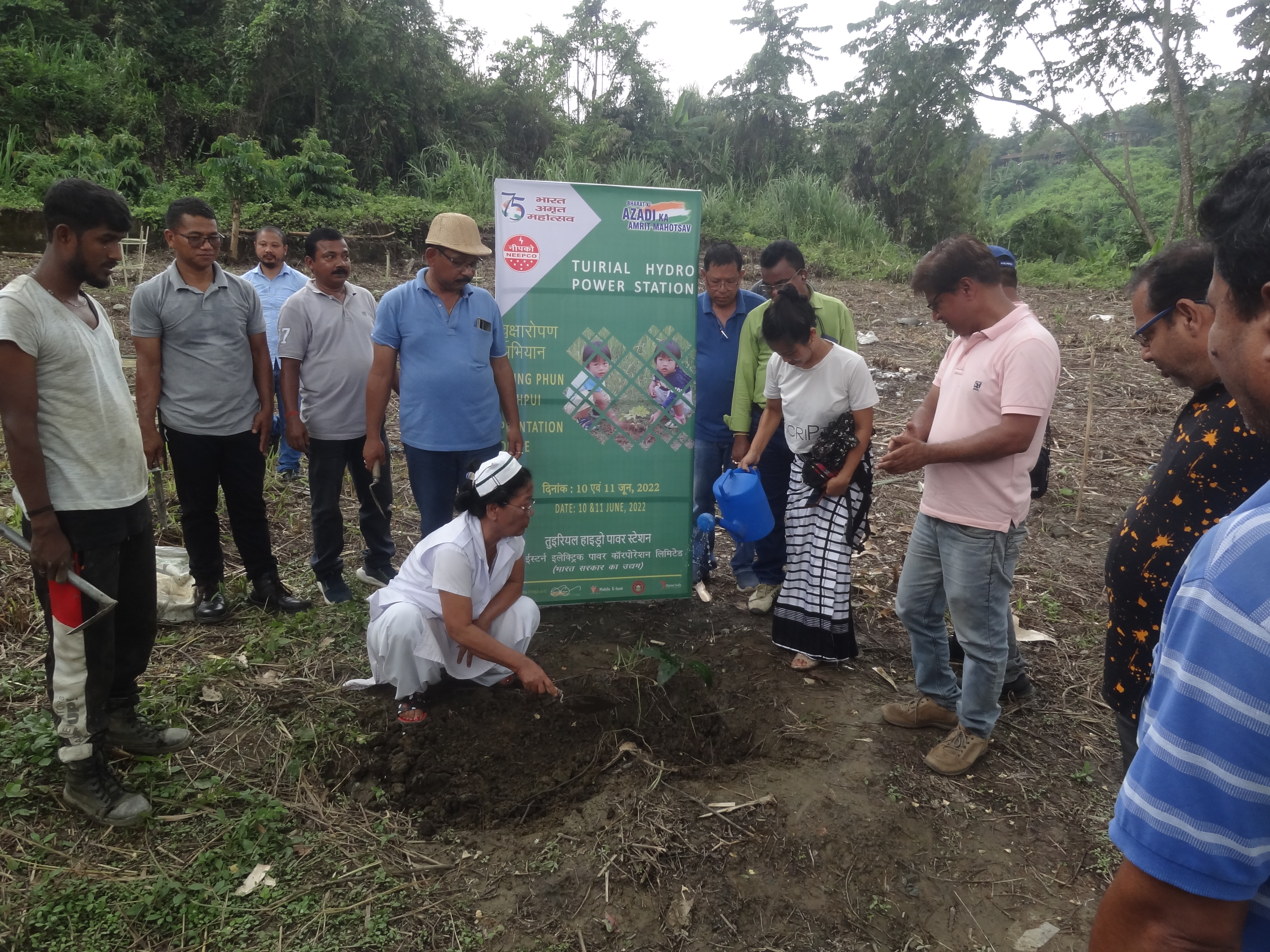  THPS PLANTATION PHOTOS