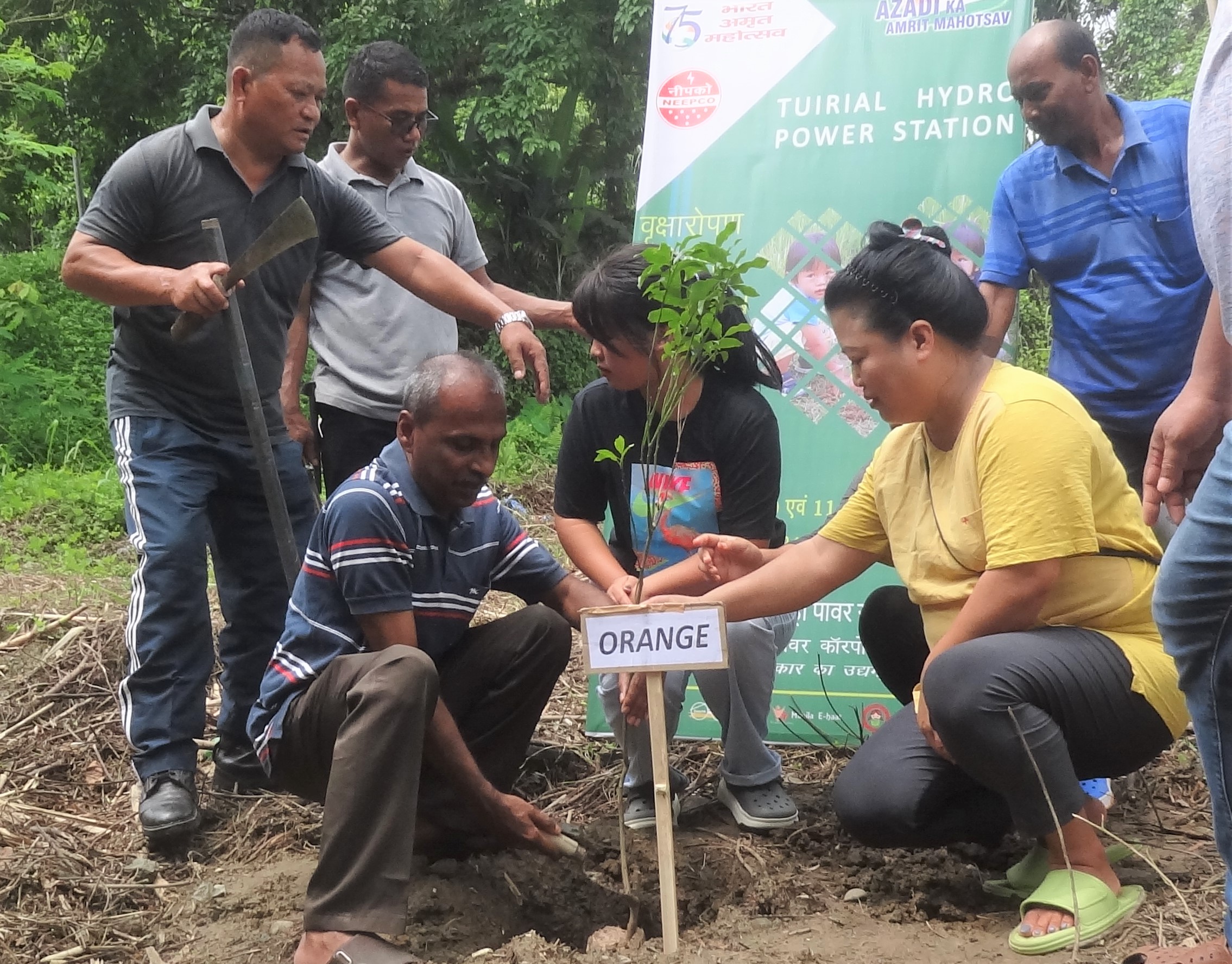  THPS PLANTATION PHOTOS